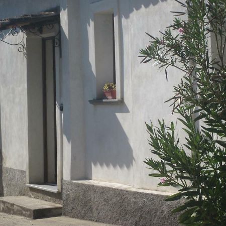 B&B Vaiana Maida Стая снимка