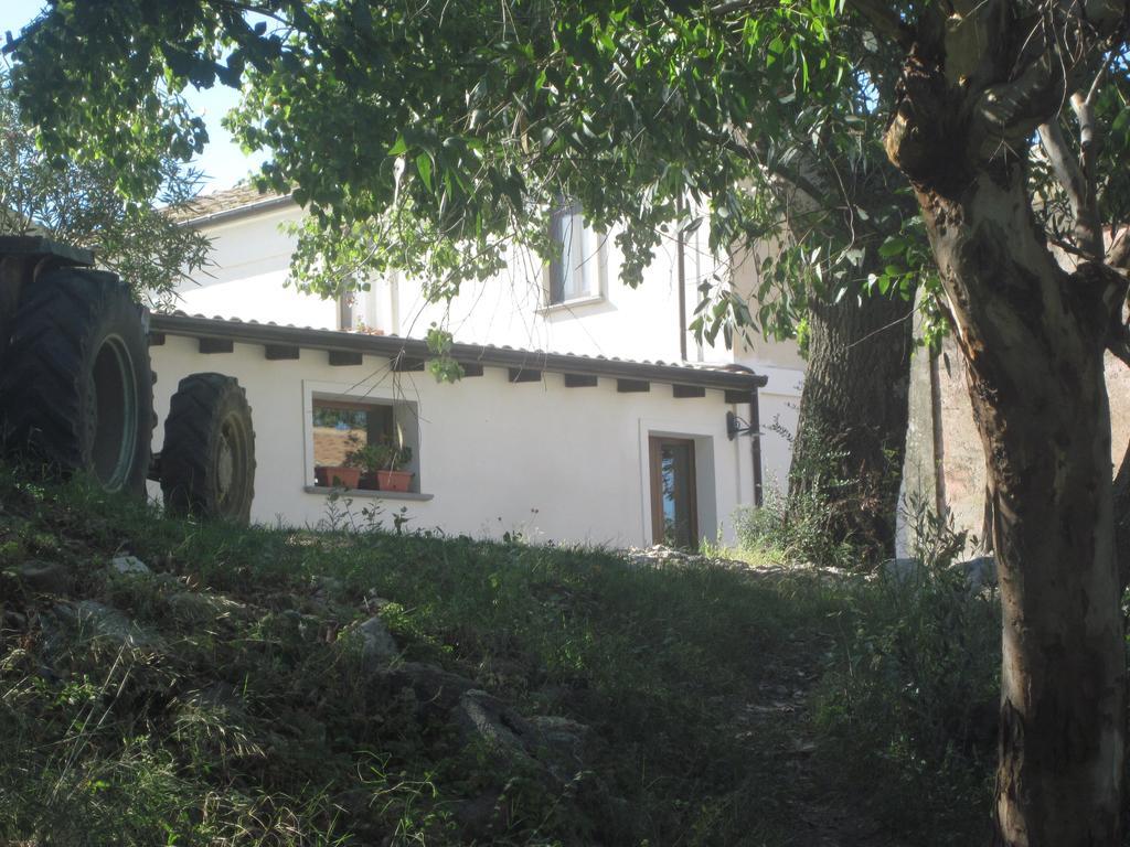 B&B Vaiana Maida Екстериор снимка